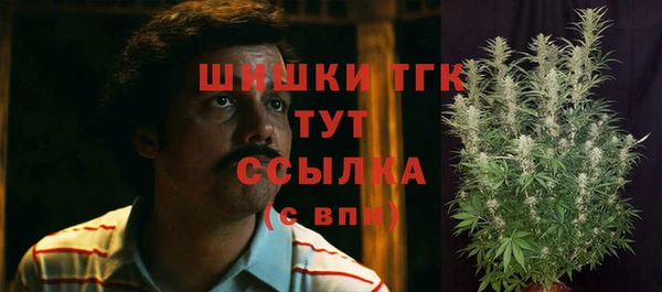 хмурый Вязьма