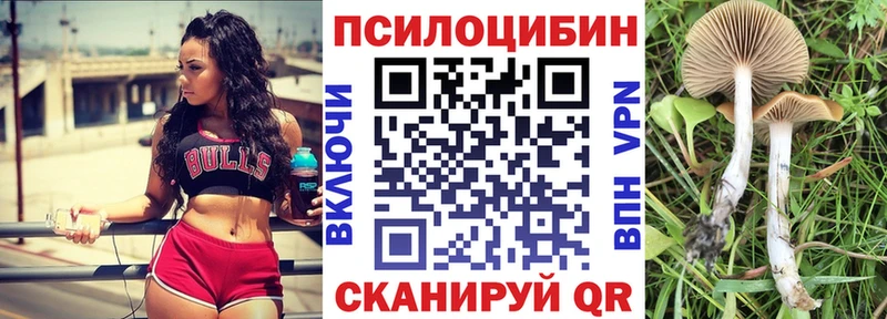 Галлюциногенные грибы Psilocybe  Кимовск 